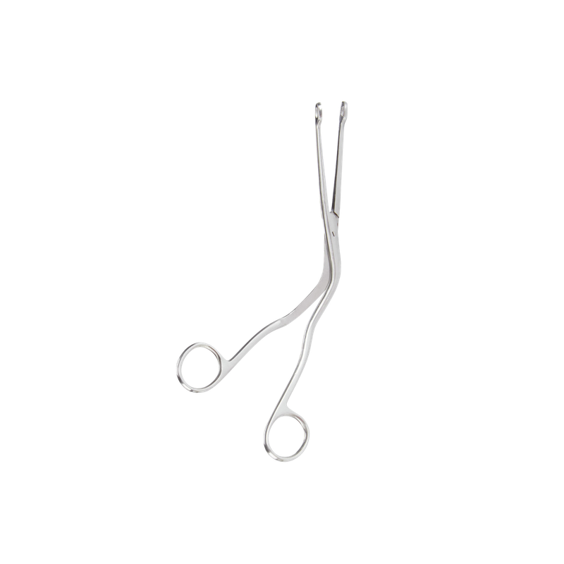 MagFo product photo